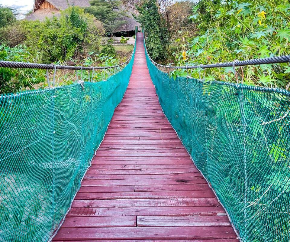 Hanging Bridge