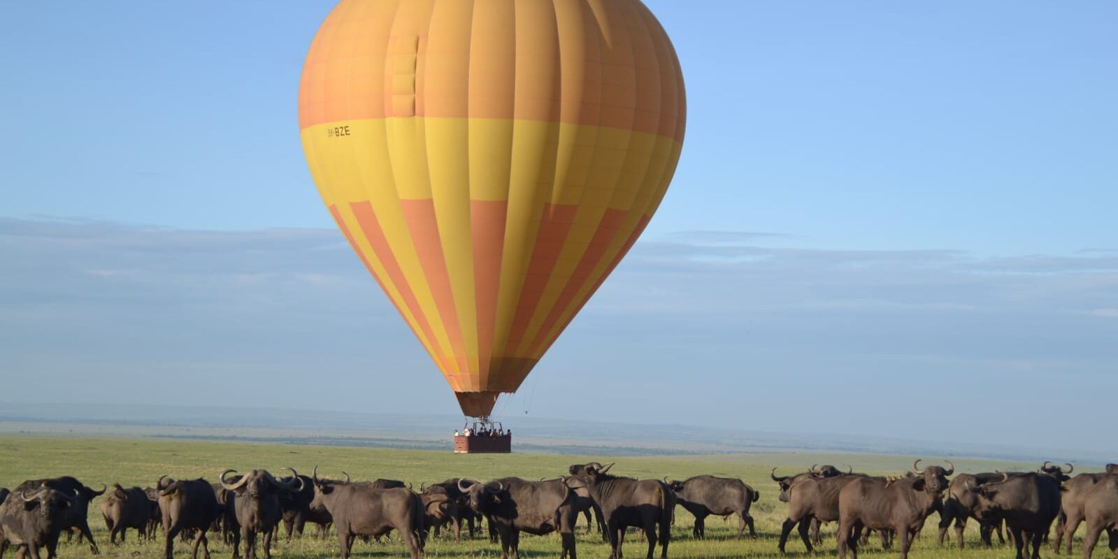 Hot Air Balloon