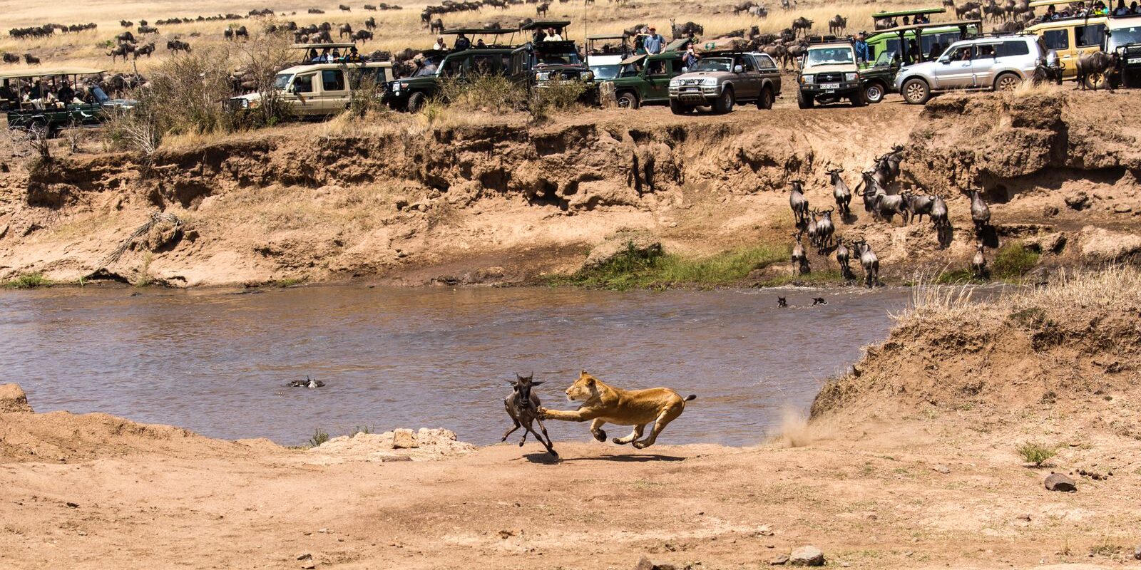 Game Drives