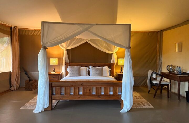 Tents